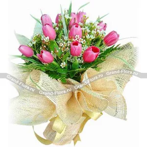 Паула Паула