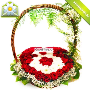 Момент радости Момент радости