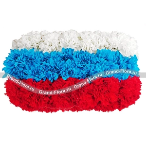 Композиция из белых, синих и красных хризантем Композиция из белых, синих и красных хризантем