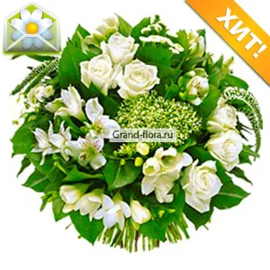 Амели Амели