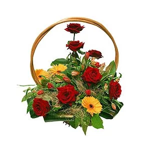 Кармелита Кармелита